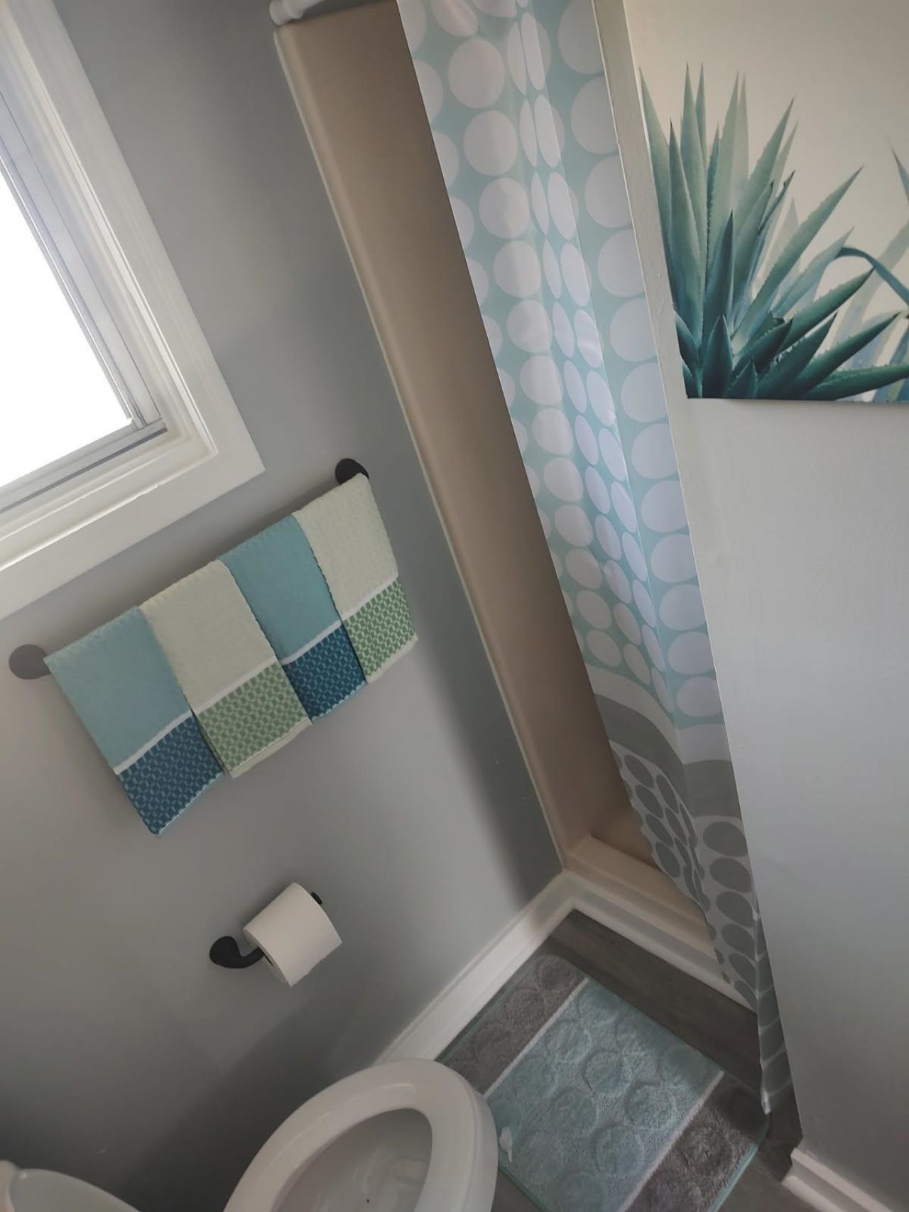 307 Flagg St.  Photo 15