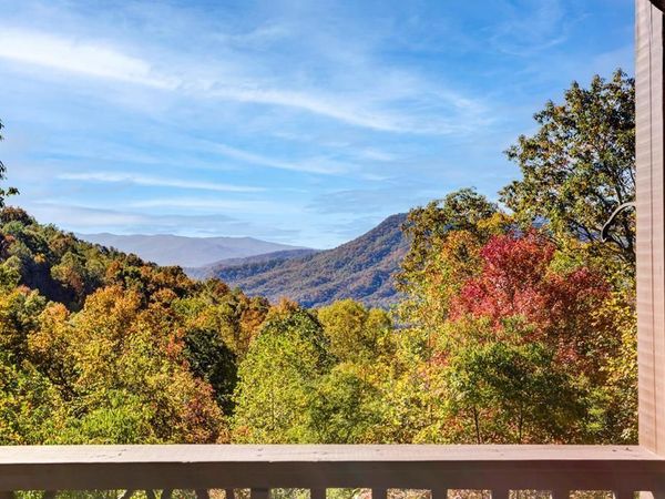 7031 Black Bear Trail, Hiawassee, GA 30546