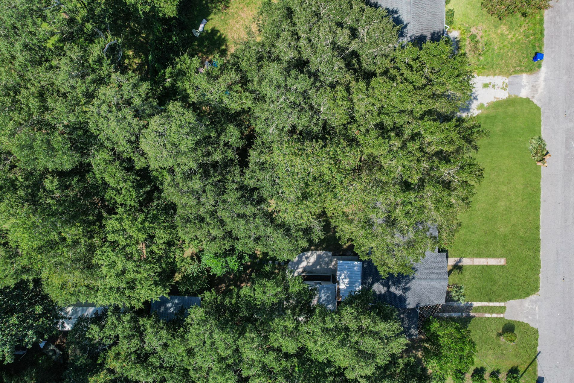 1749 Lady Ashley Street Photo 51