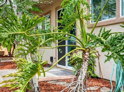 1203 Halidon Way, Folsom, CA 95630 Photo