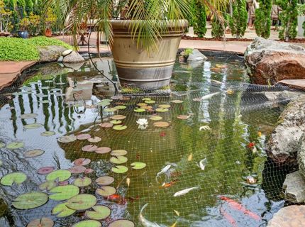 1203 Halidon Way, Folsom, CA 95630 Photo