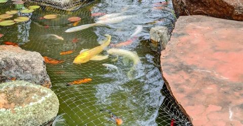 1203 Halidon Way, Folsom, CA 95630 Photo