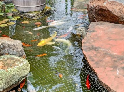 1203 Halidon Way, Folsom, CA 95630 Photo