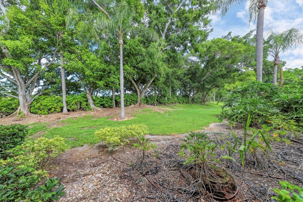 3803 54th Drive W, Unit 202, Bradenton, FL 34210 Photo