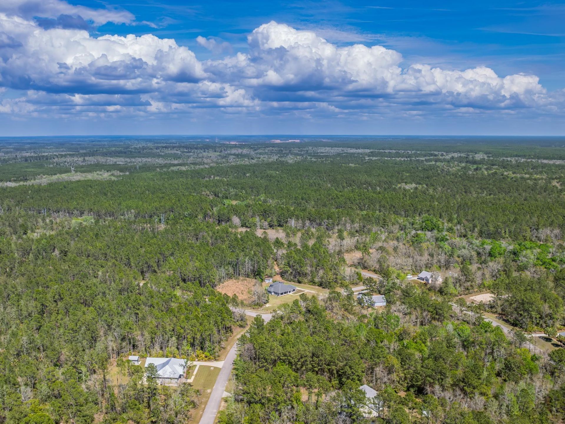 Coquina Crossing Drive, Saint Marks, FL 32355 Photo