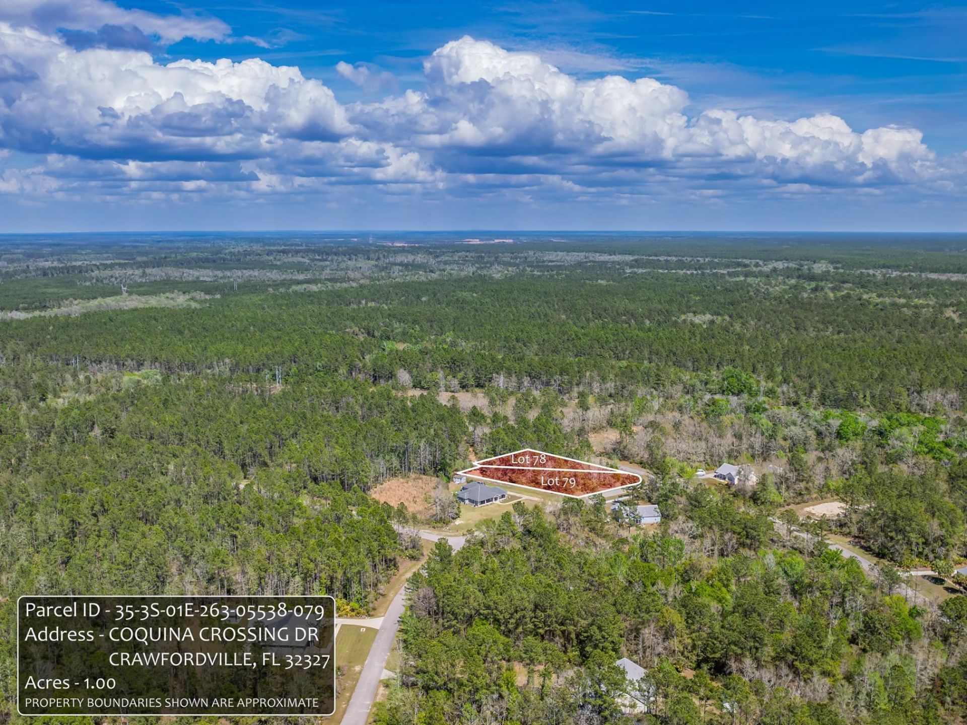 Coquina Crossing Drive, Saint Marks, FL 32355 Photo