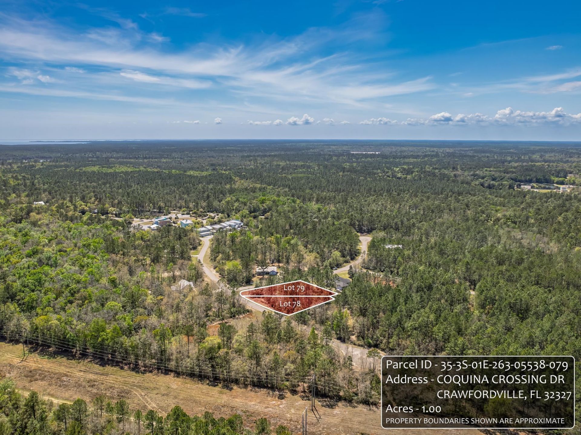 Coquina Crossing Drive, Saint Marks, FL 32355 Photo