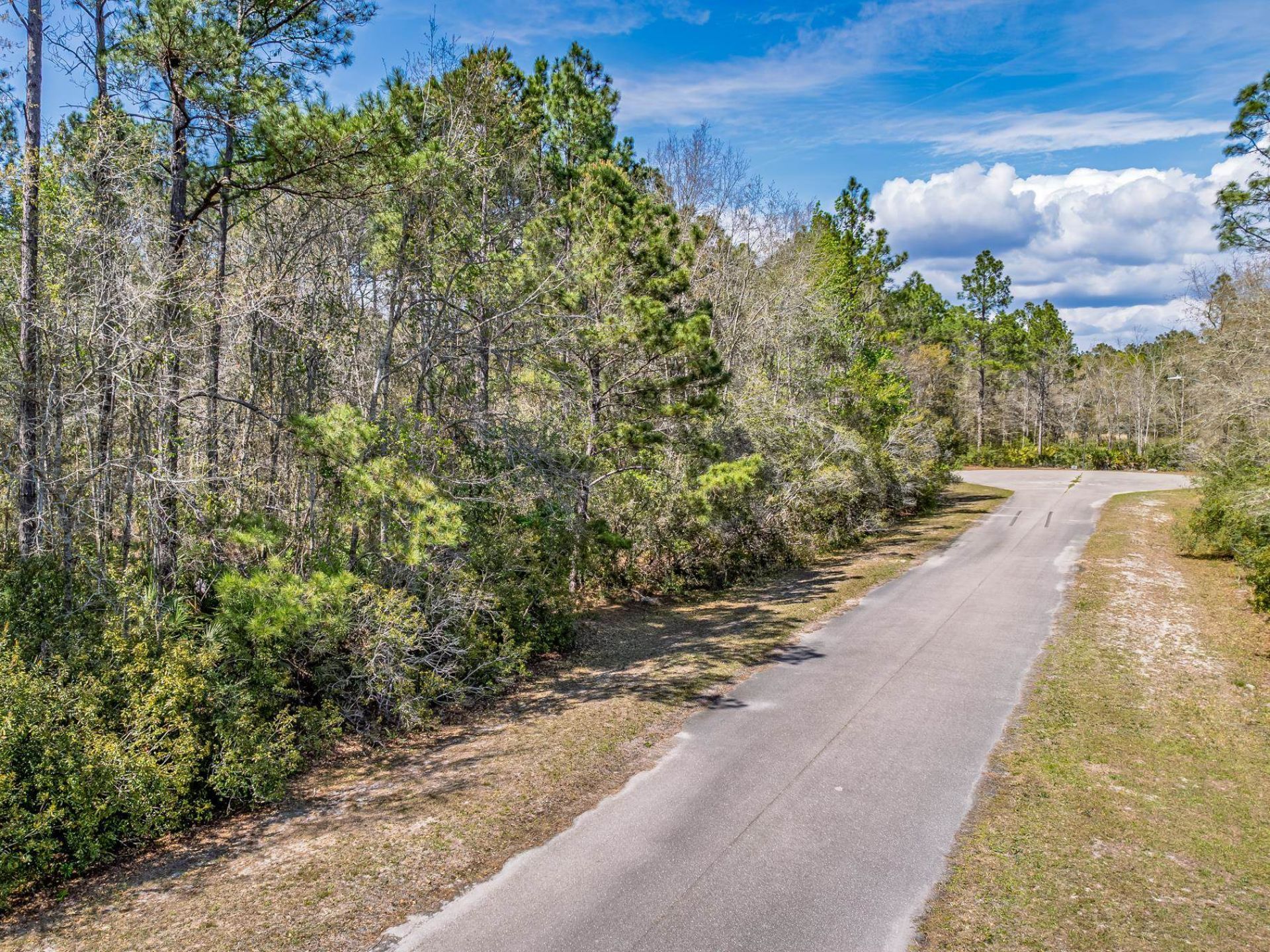 Coquina Crossing Drive, Saint Marks, FL 32355 Photo