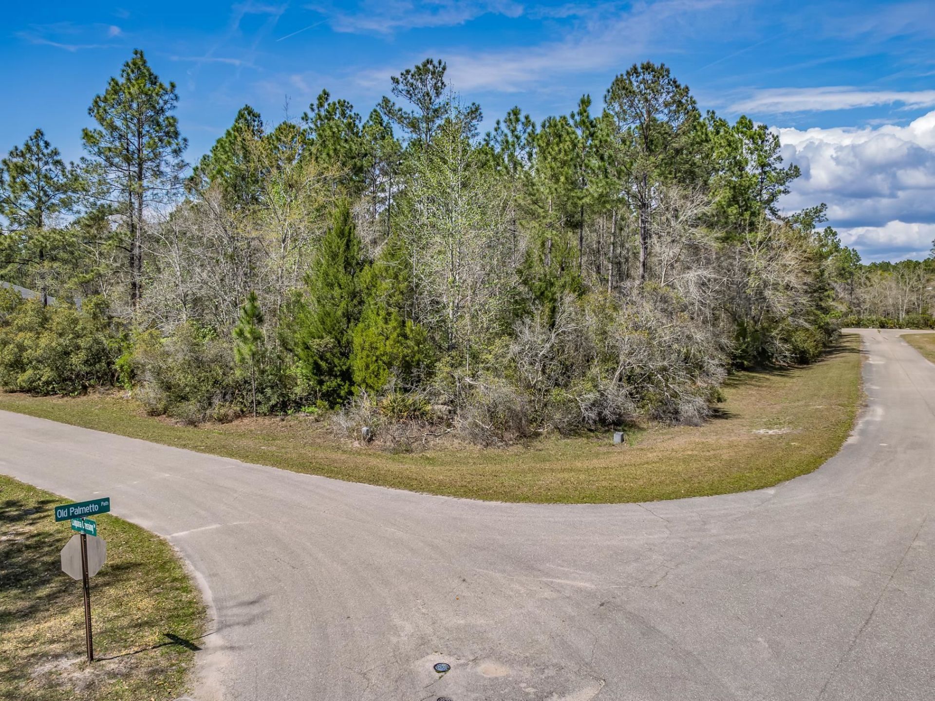 Coquina Crossing Drive, Saint Marks, FL 32355 Photo