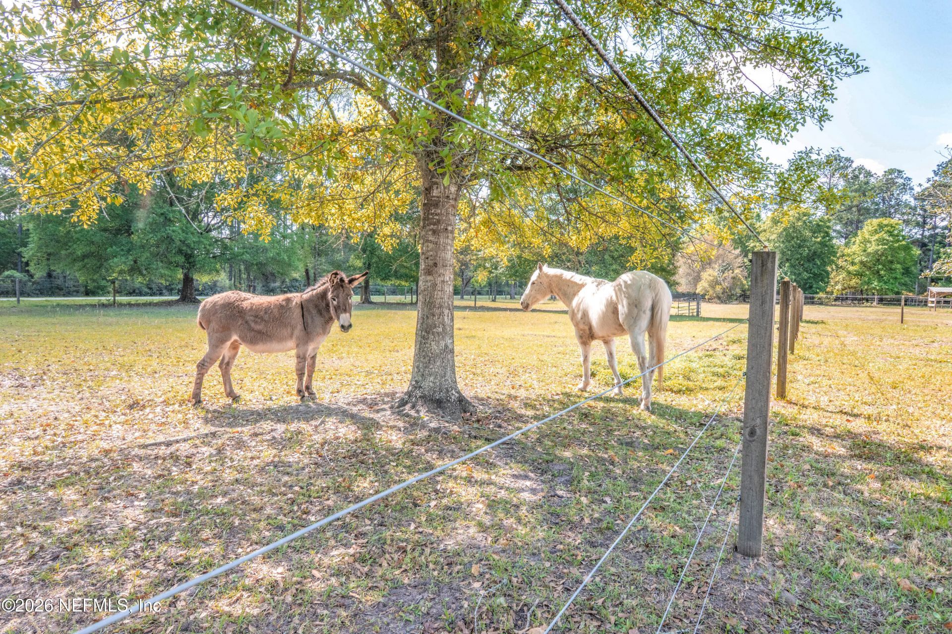 7518 Glynn Allyn Road, Macclenny, FL 32063 Photo