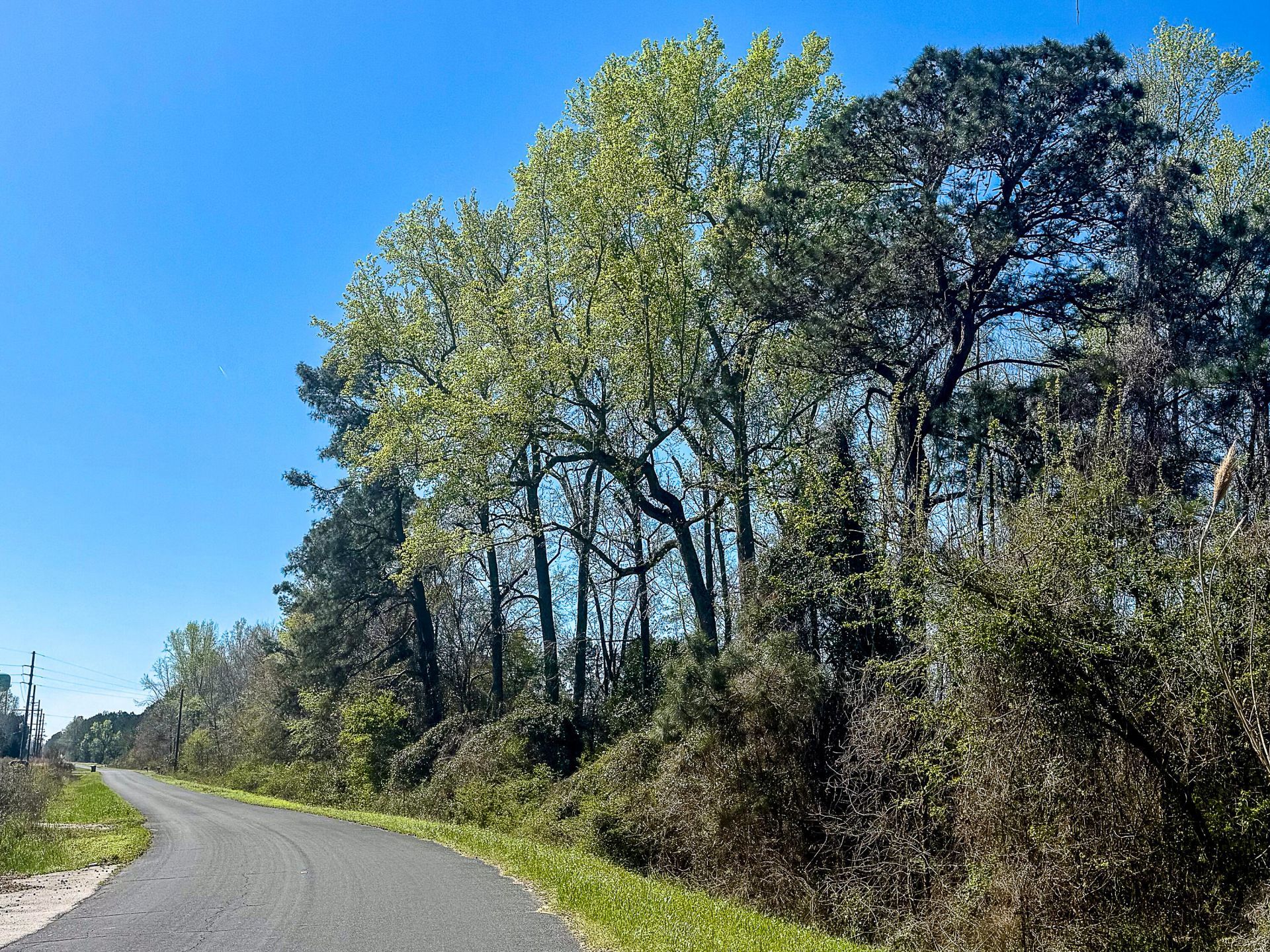 0 S Locust Avenue Photo 4