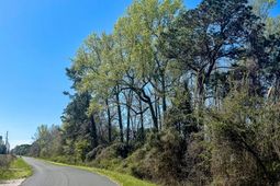 0 S Locust Avenue photo 4