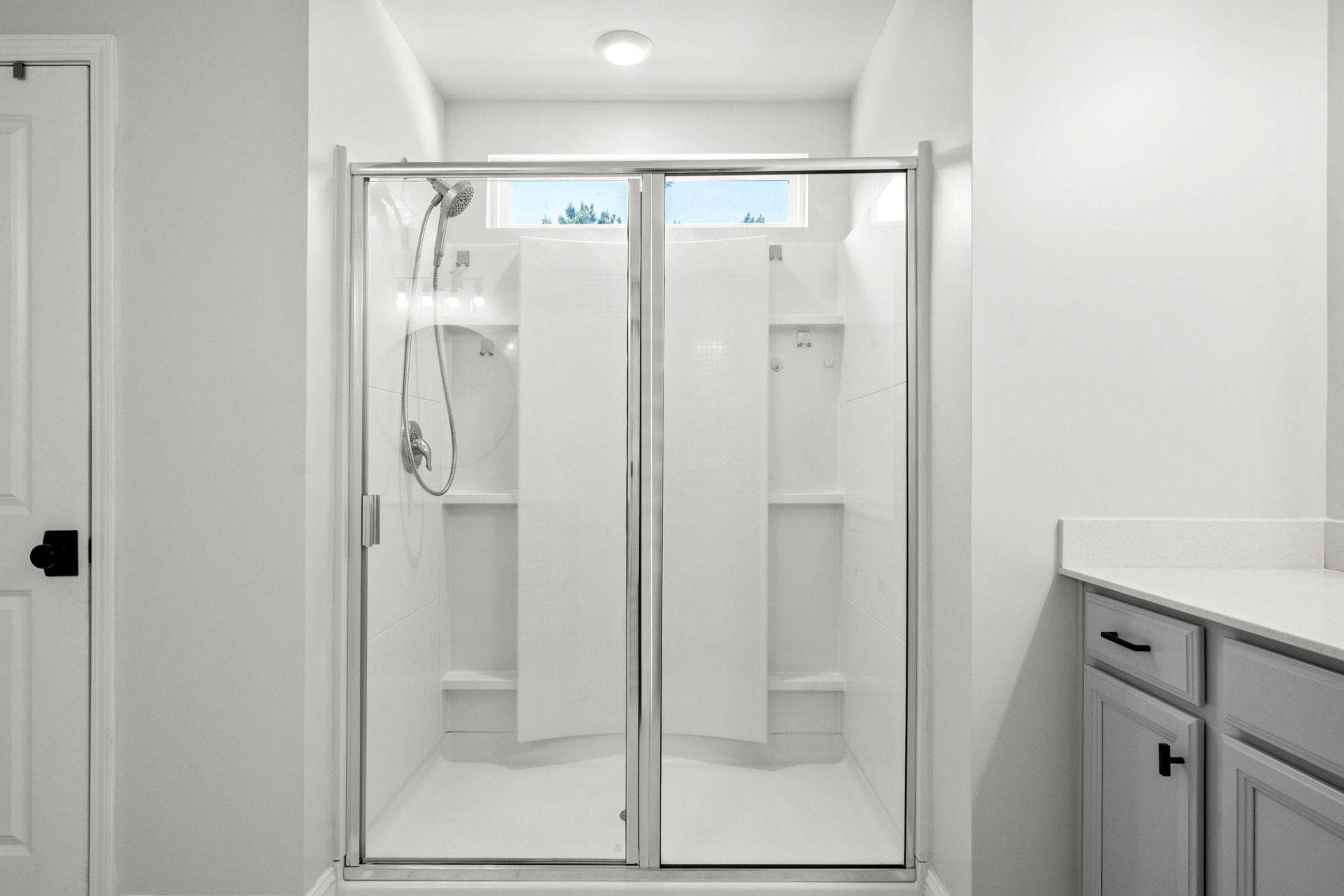 10130 Hamilton Branch Loop Photo 43