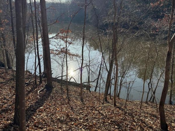 Lot 26 Poplar DR , Hardy, VA 24101