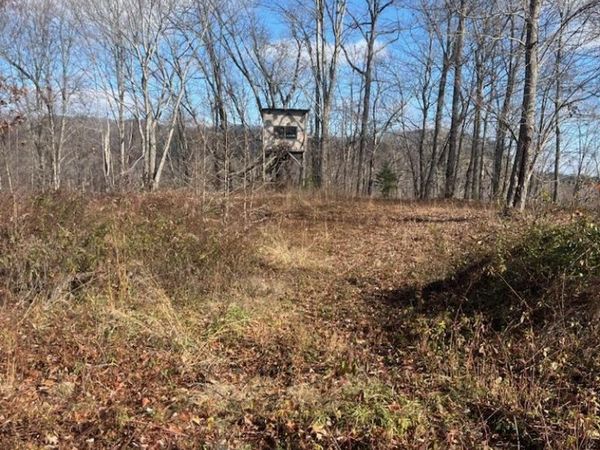 Howard Baker Hwy, Pioneer, TN 37847