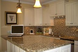 1600 Long Grove Drive photo 4