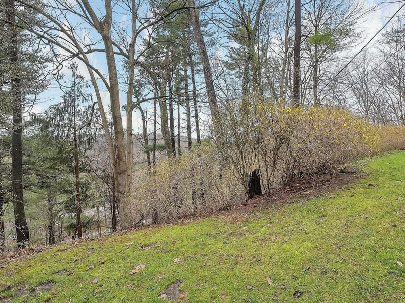 291 Pinetree Drive, Granville, OH 43023 Photo 30