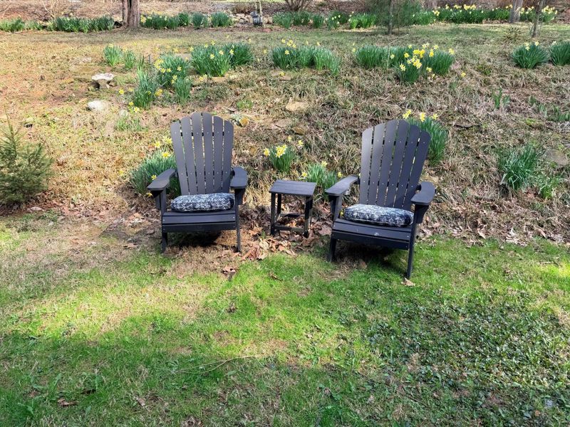 291 Pinetree Drive, Granville, OH 43023 Photo 37