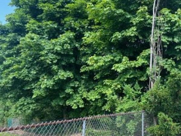 Rock Street, Pittston, PA 18643