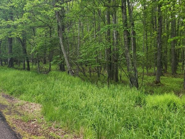 Oley Valley Road, White Haven, PA 18661