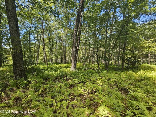 0 Hillbrook Drive, Wilkes-Barre, PA 18702