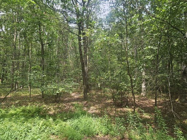 Lot 016 Hemlock Drive, Sheppton, PA 18248