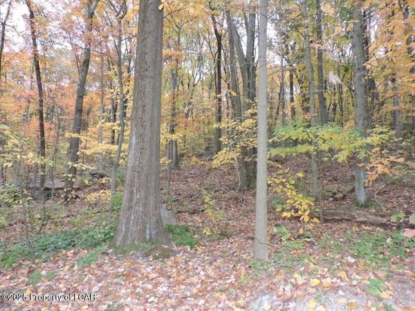 Lot 16 Tomko Avenue, Hanover Township, PA 18706