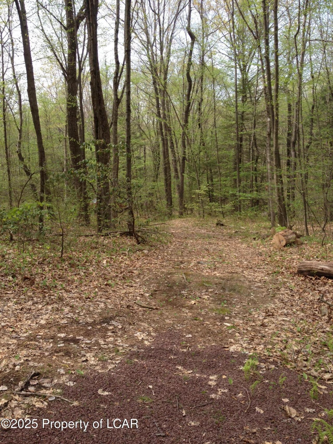 Please Call, Hanover Township, PA 18706