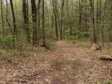 Adj Tomko, Hanover Township, PA 18706