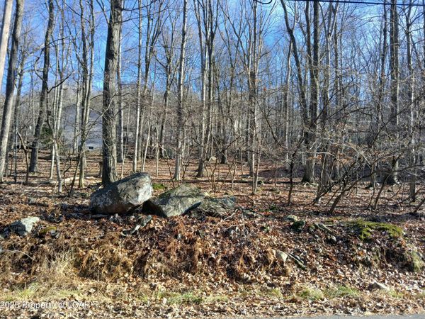 251 Bear Run Drive, Drums, PA 18222