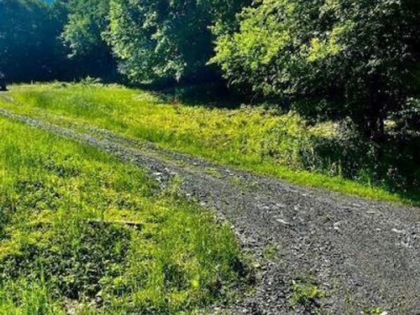 272 Shickshinny Valley Road, Berwick, PA 18603