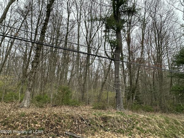 Pond Hill Mountain Road, Wapwallopen, PA 18660