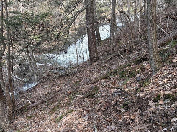 Main Road, Hunlock Creek, PA 18621