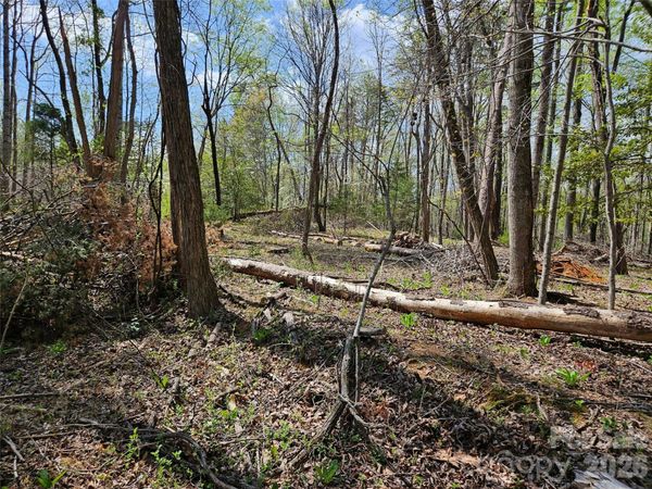 0 Whitney Boulevard , Lake Lure, NC 28746