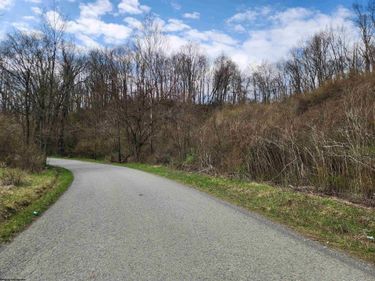 TBD Buffalo Creek Road, Lost Creek, WV 26385