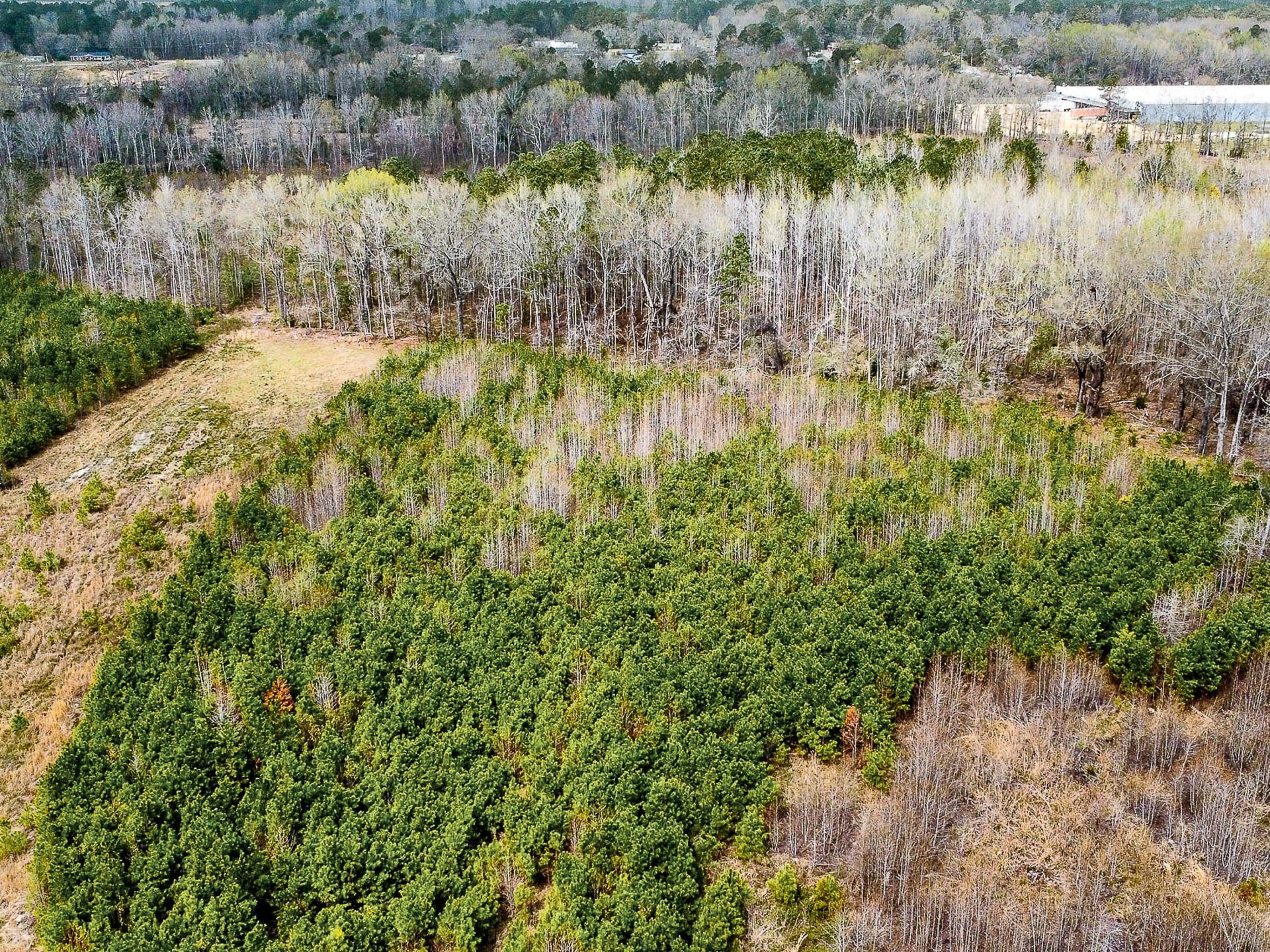 0 S Locust Avenue Photo 10