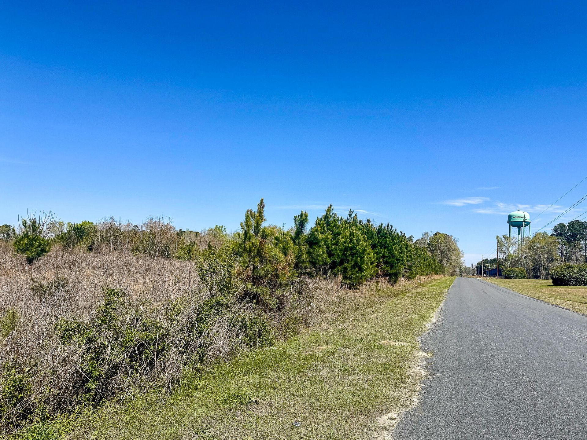 0 S Locust Avenue Photo 11