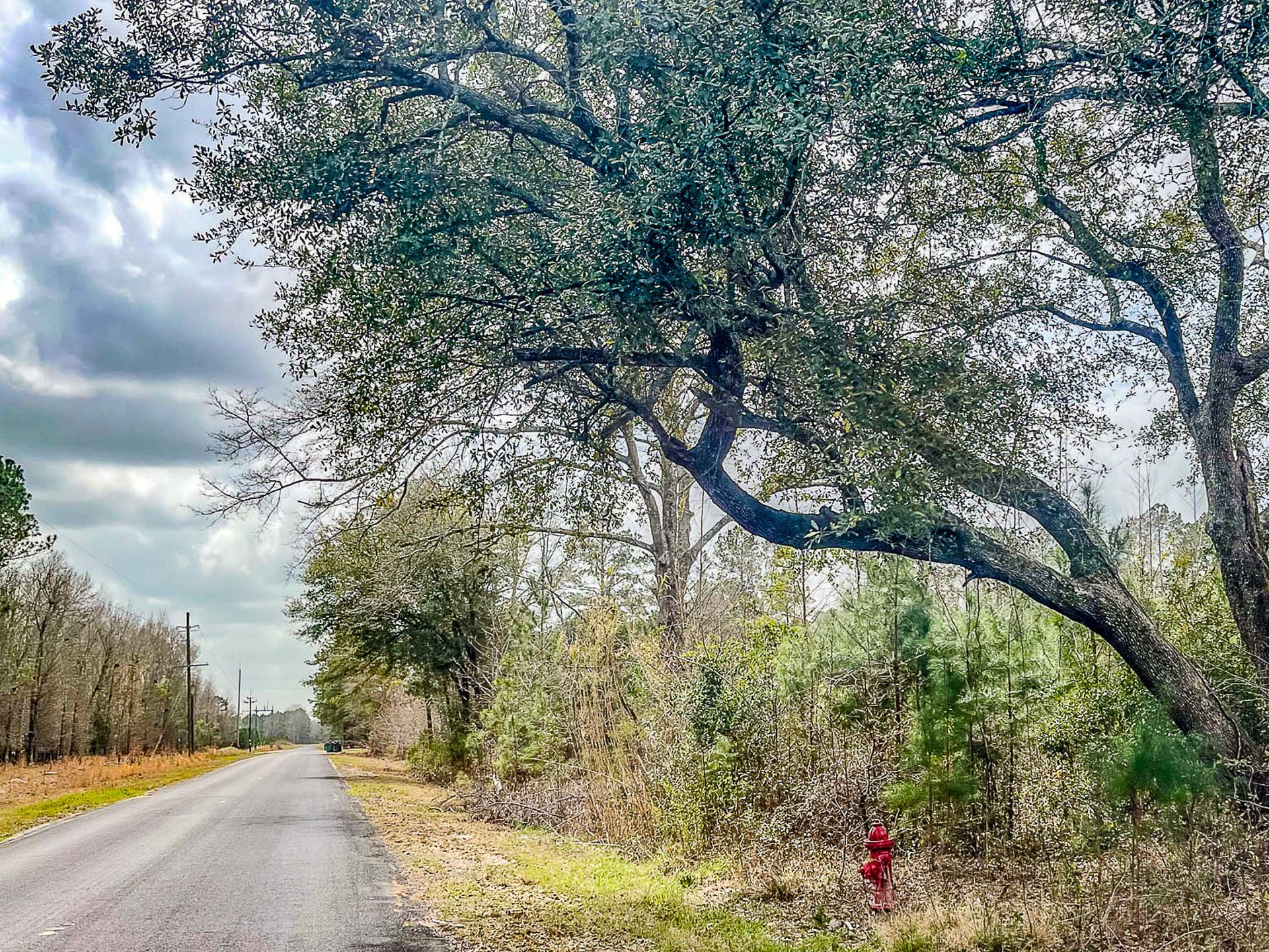 0 S Locust Avenue Photo 12