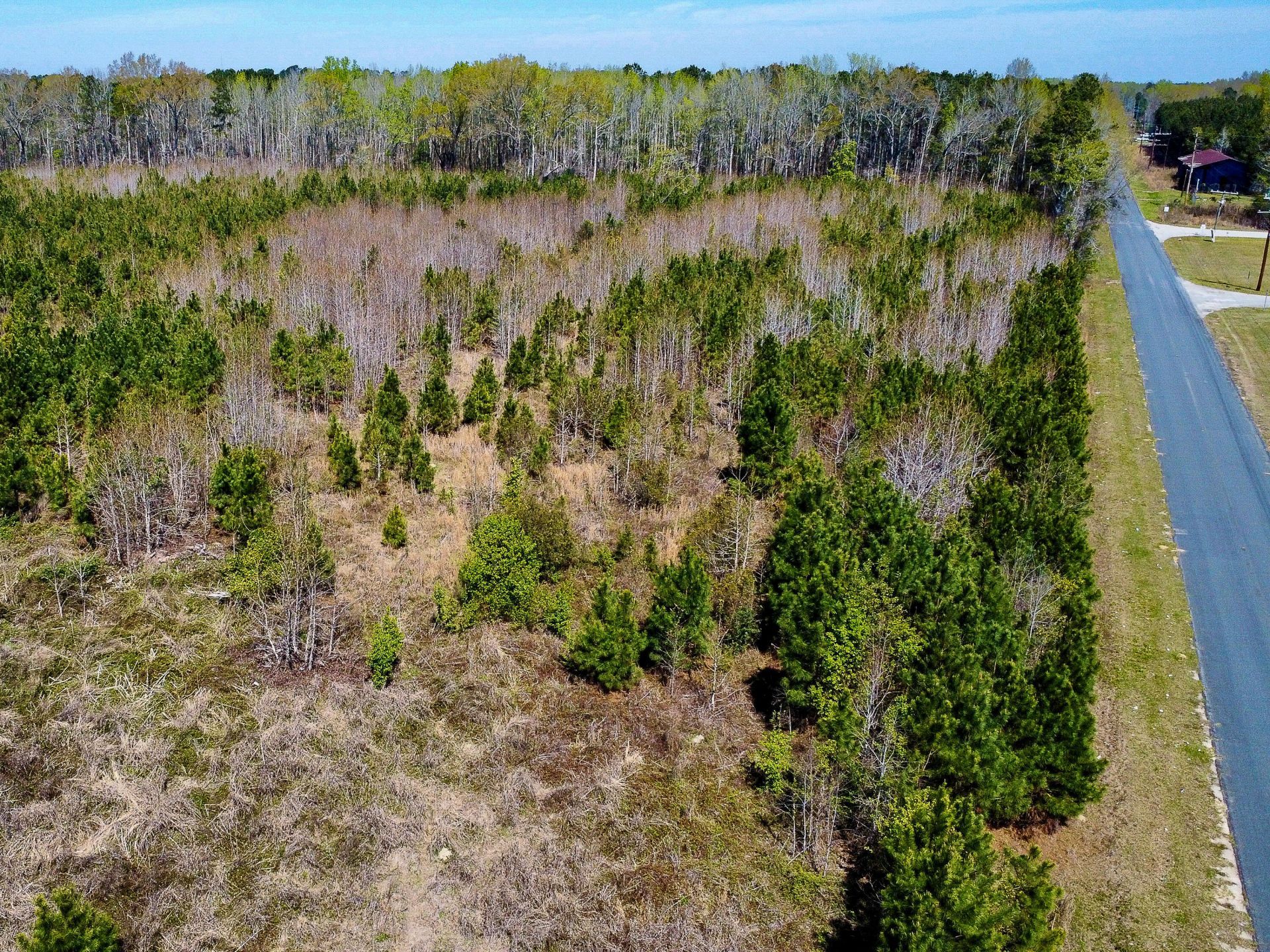 0 S Locust Avenue Photo 13