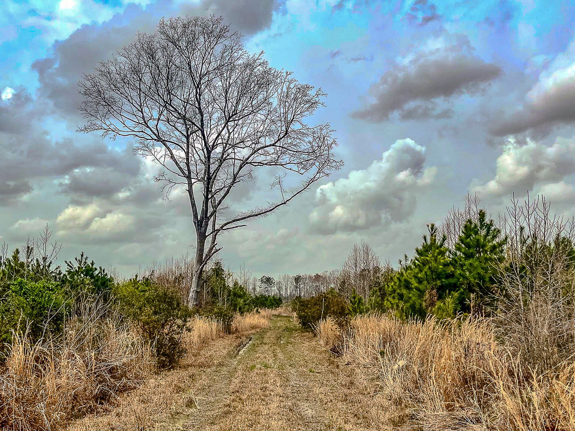 0 S Locust Avenue Photo 14