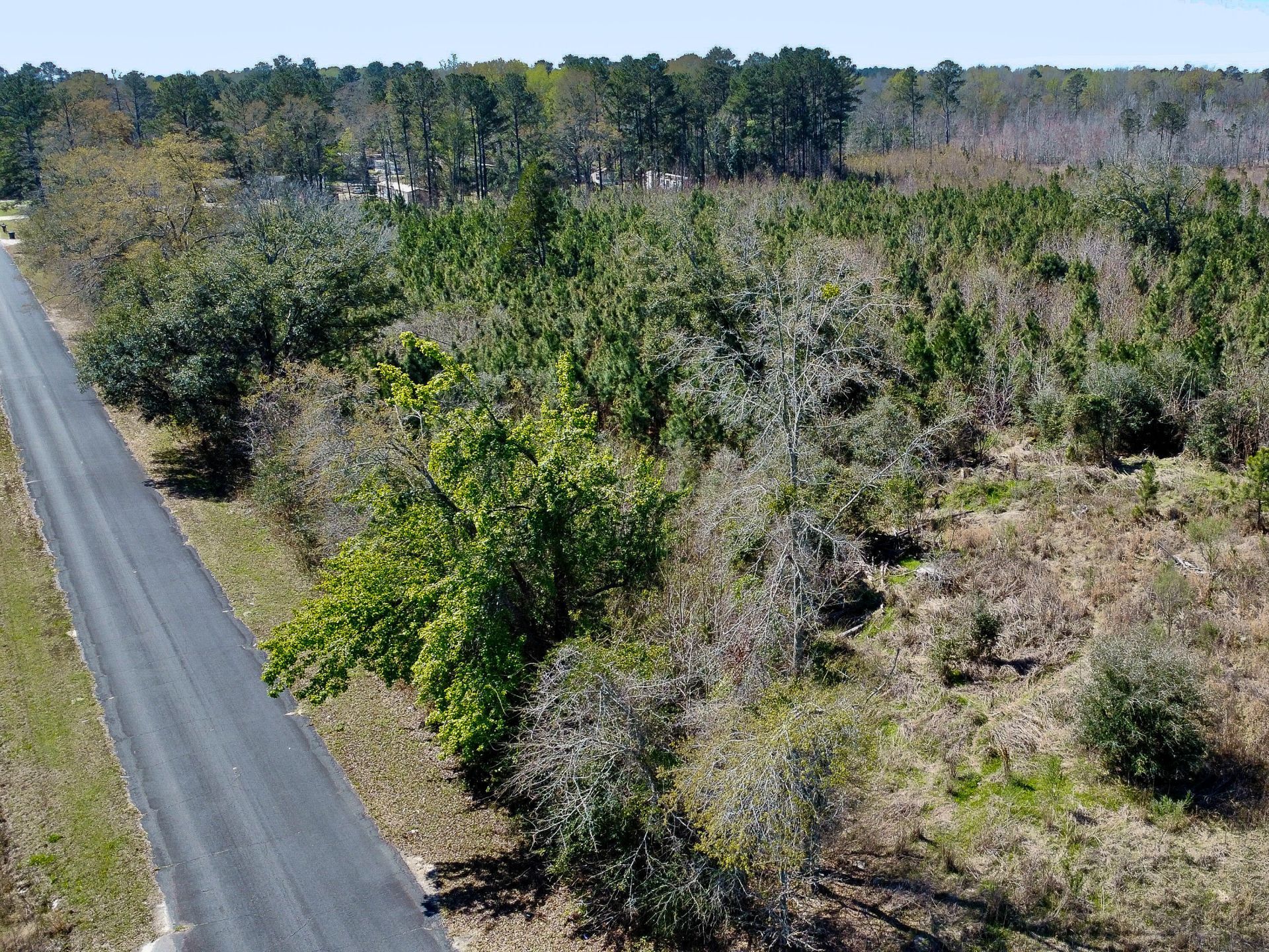 0 S Locust Avenue Photo 15