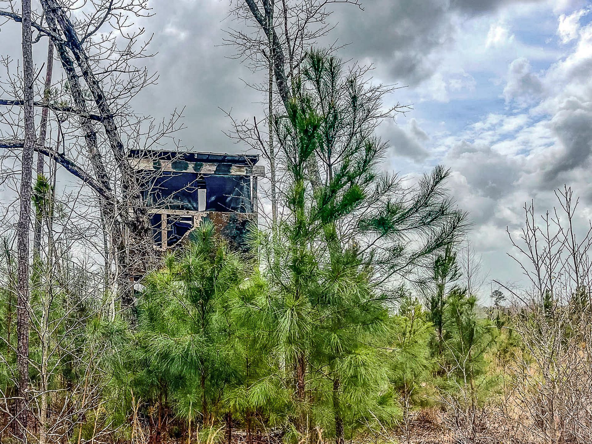 0 S Locust Avenue Photo 16