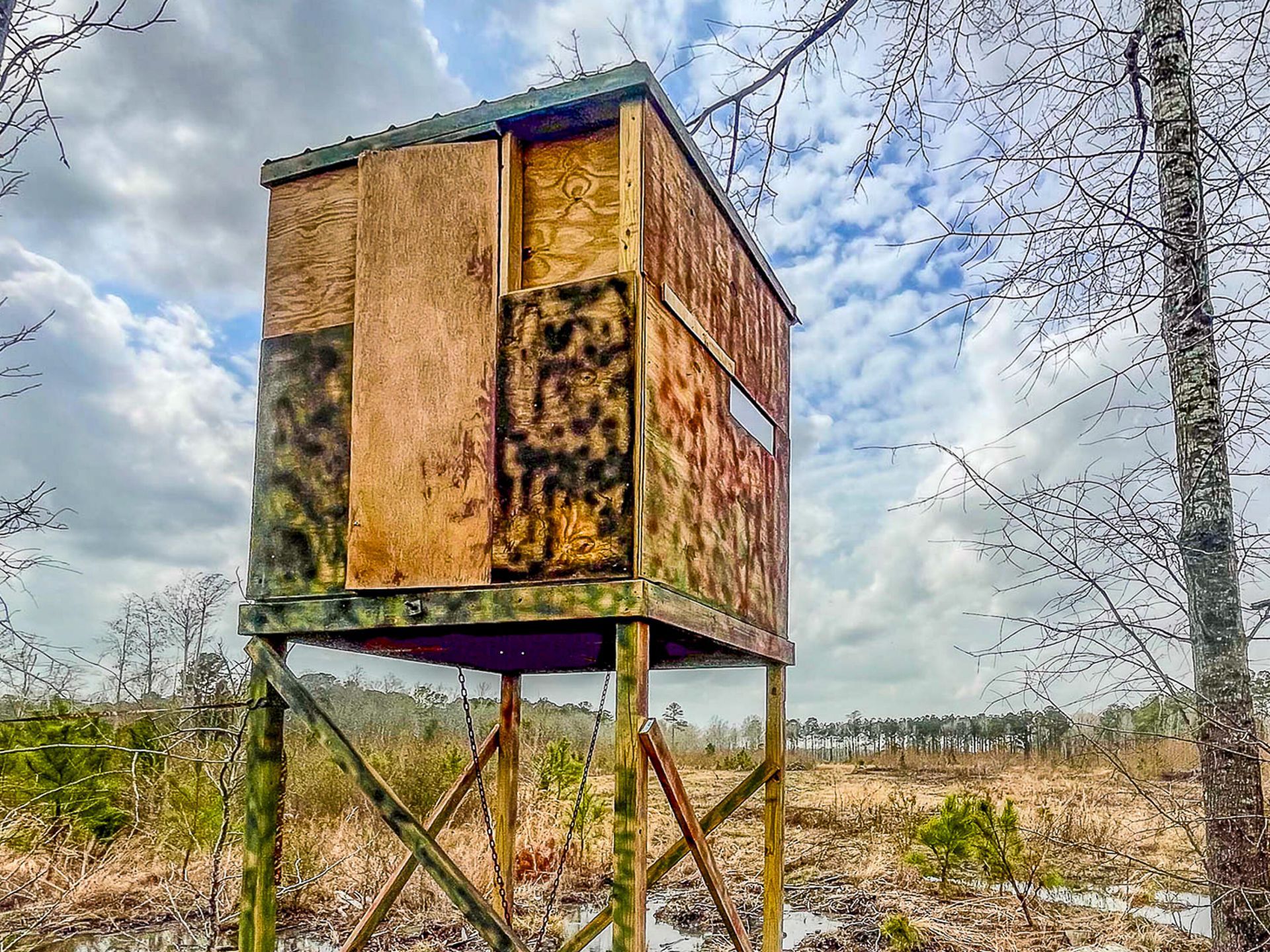 0 S Locust Avenue Photo 18