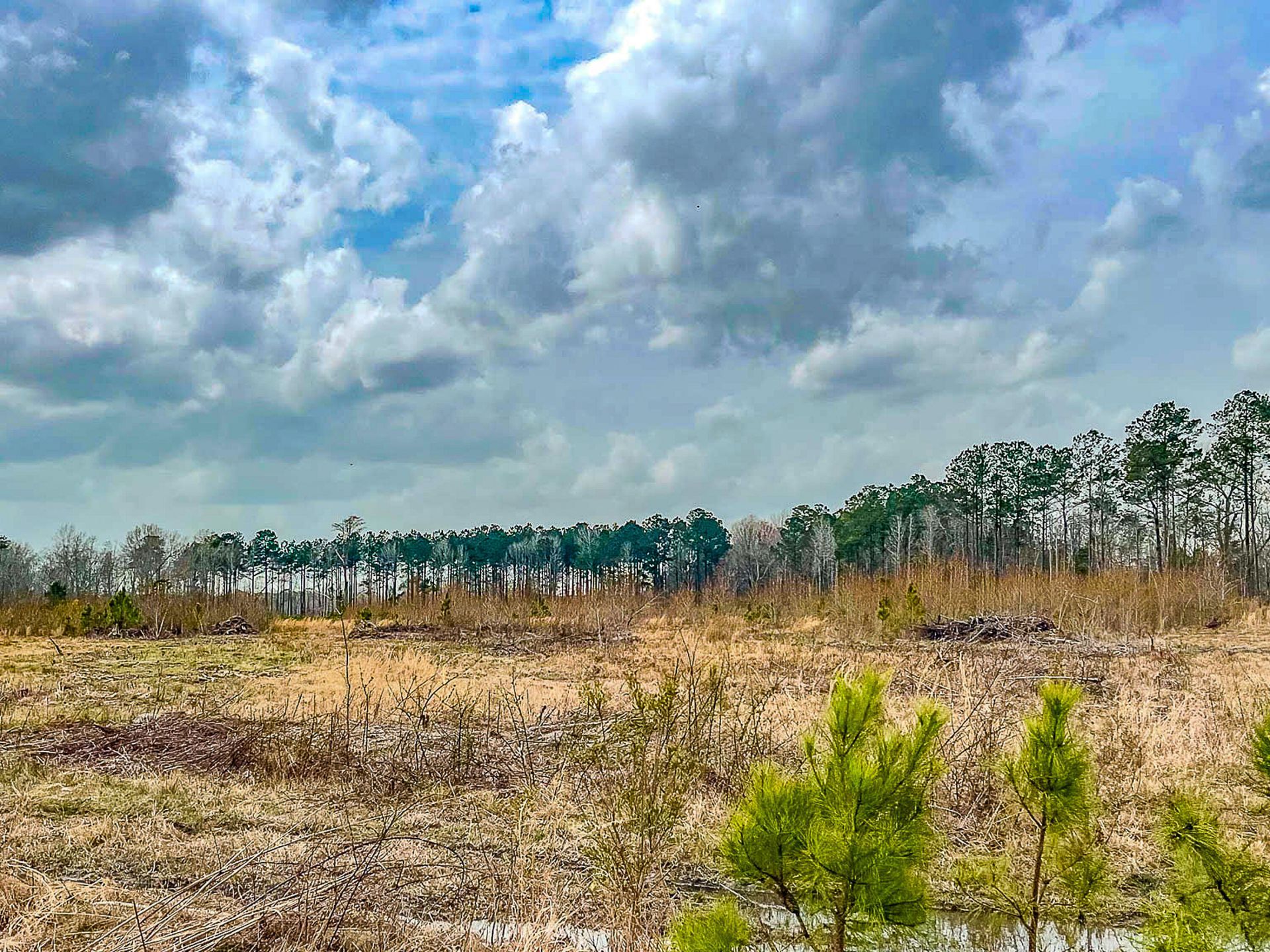 0 S Locust Avenue Photo 20