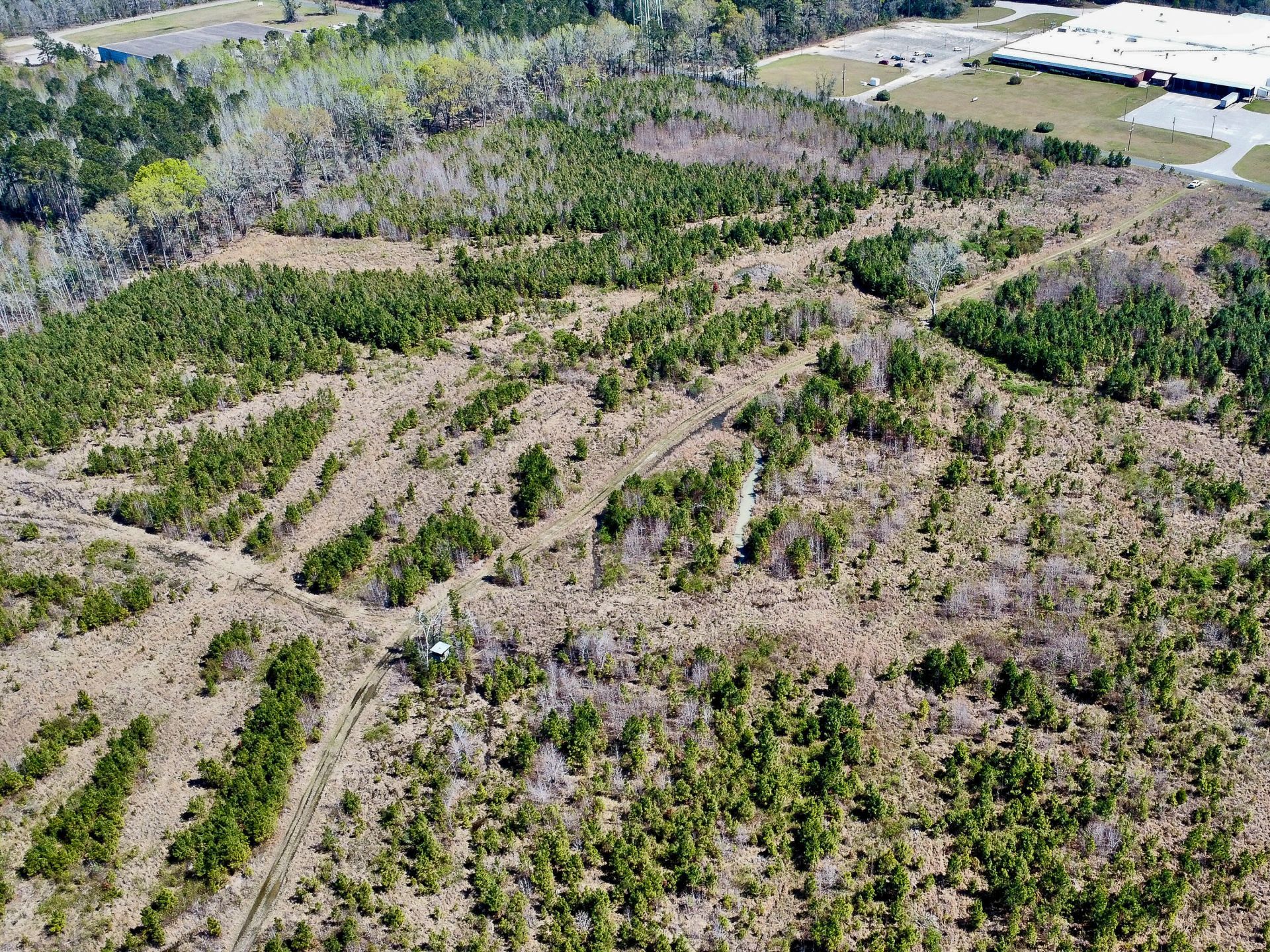 0 S Locust Avenue Photo 21