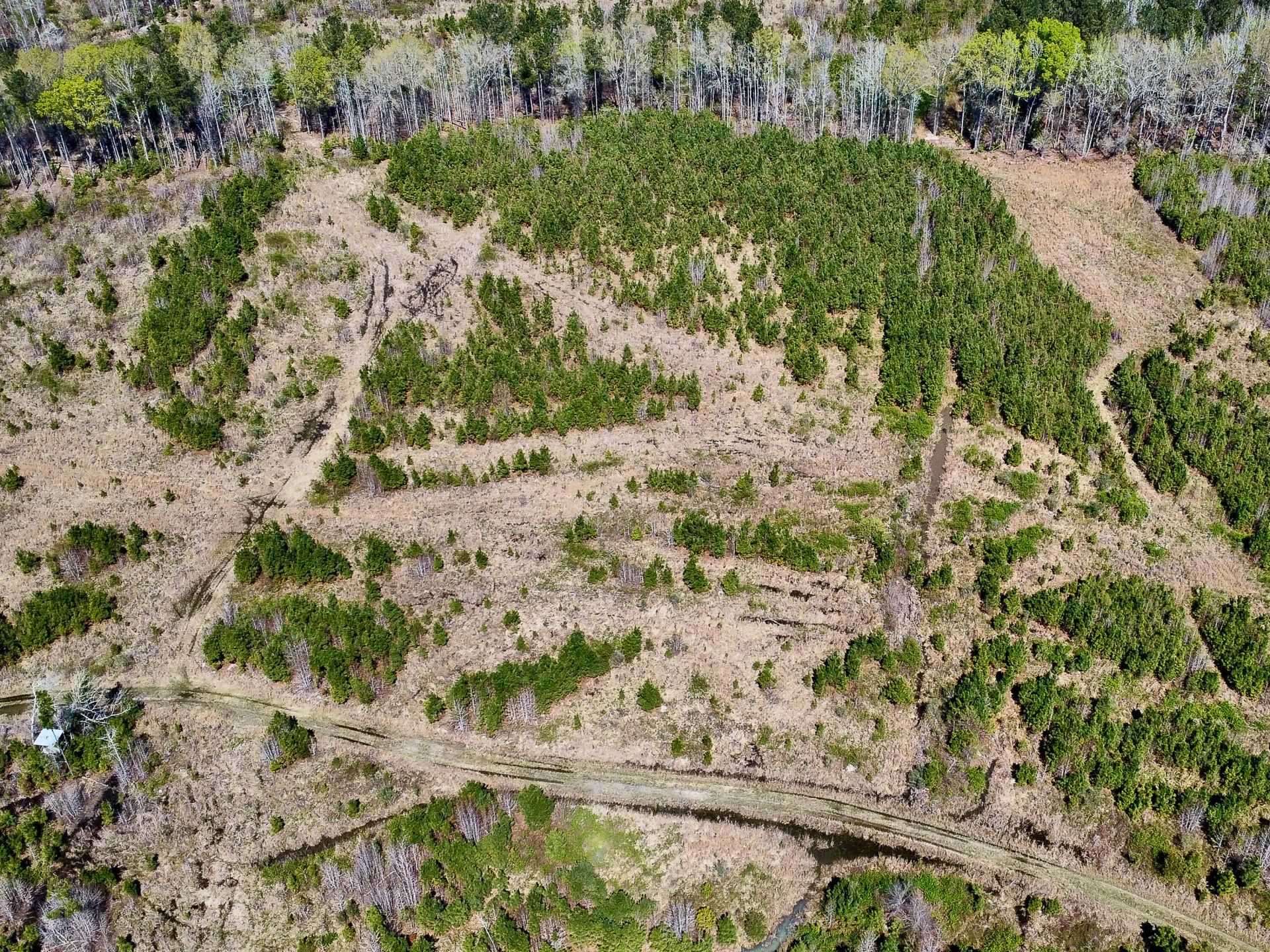 0 S Locust Avenue Photo 23