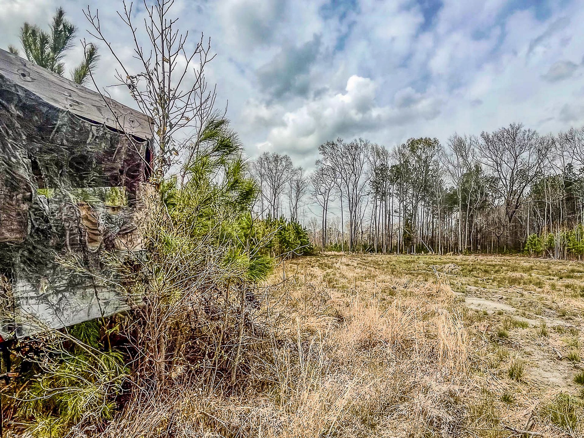 0 S Locust Avenue Photo 24