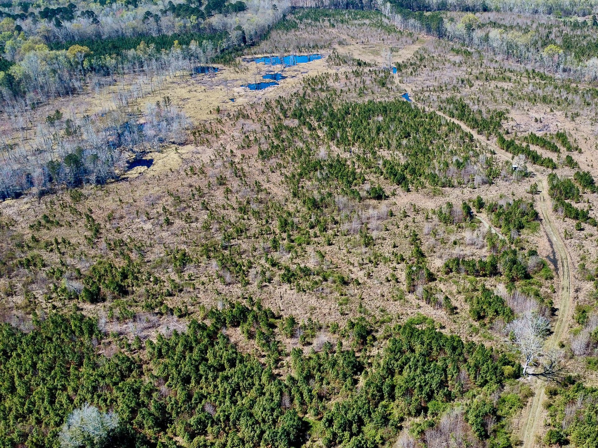 0 S Locust Avenue Photo 25