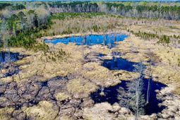 0 S Locust Avenue photo 4