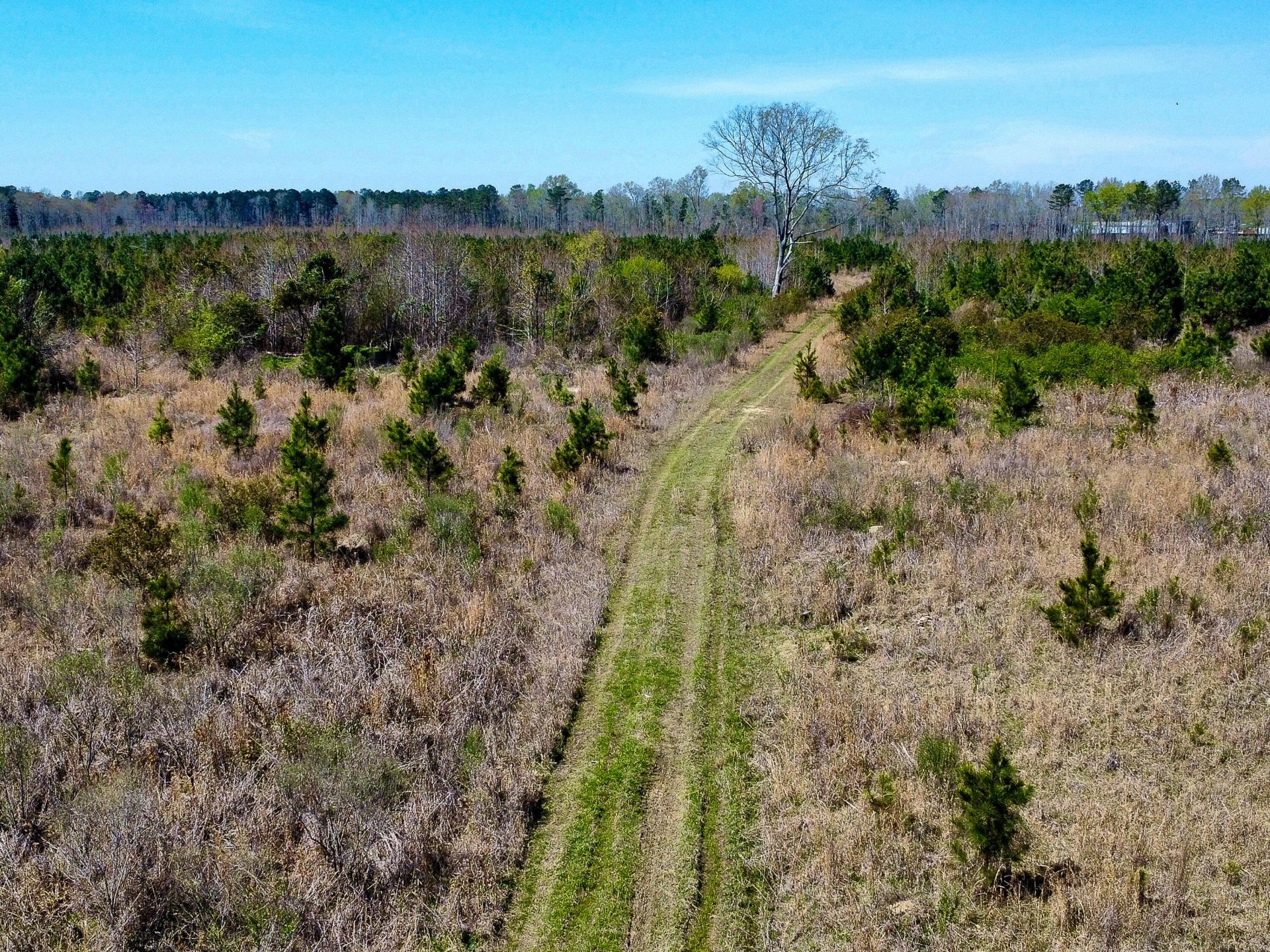 0 S Locust Avenue Photo 5